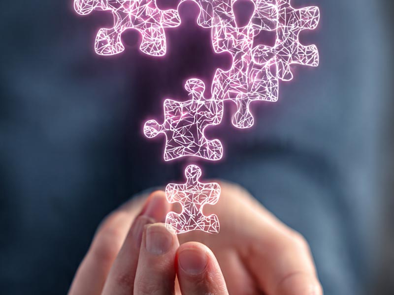 Brain Wealth Blueprint